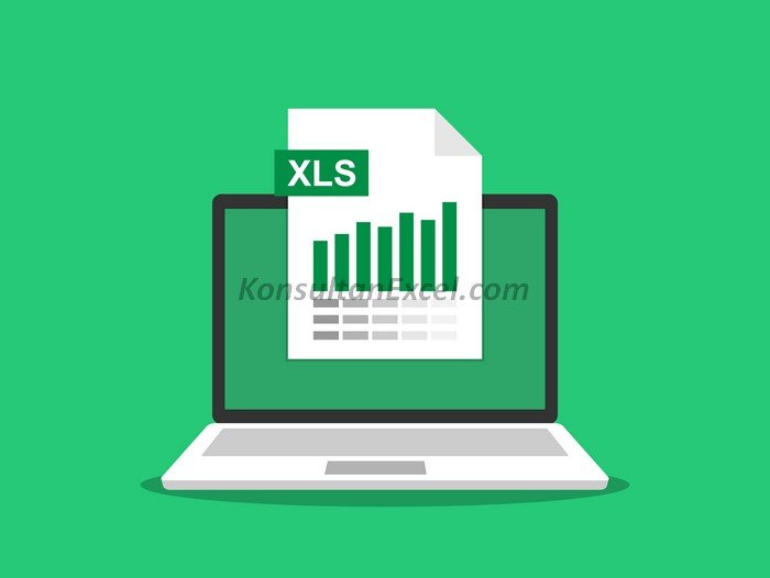 konsultasi excel cianjur